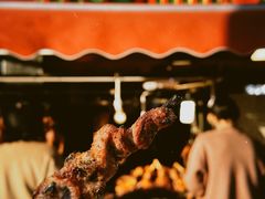 -艾力江和田馕坑烤肉店