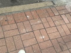 -大馆(前中区警署建築群)