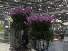 -曼谷素万那普国际机场