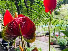 -谷咖啡·鲜花绿植花园餐厅