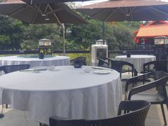 -侨美·唐荔园·40年地道粤菜