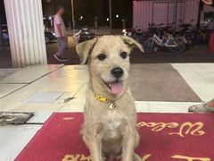 -联合动物医院(光谷诊疗中心)