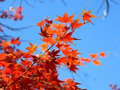 -青州市云门山风景区