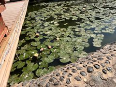 -星河温泉小镇