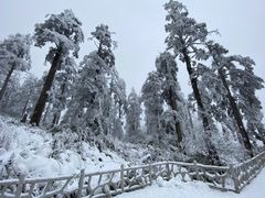 -瓦屋山景区