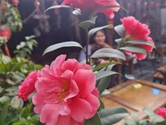 -尽善百年古院餐厅(王家老宅店)