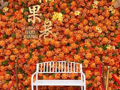 -青果巷历史文化街区