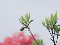 -乌石村