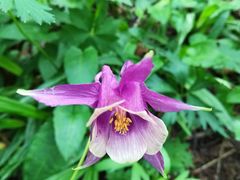 -白草畔自然风景区