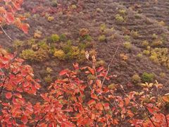 -狼牙山风景区