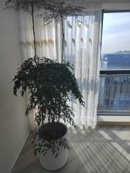 -HEYAN荷妍专业脱毛连锁机构