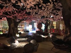 -蓝鲸湾汤泉(包河店)