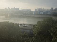 -李子坝梁山鸡(李子坝大鸡哥店)