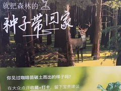 -THE WOODS 简餐 (国贸商城店)