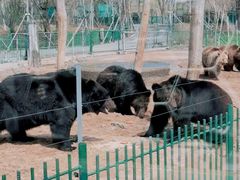 -秦皇岛野生动物园