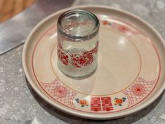 -二胖家铁锅炖大鹅(双井店)