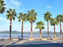 -东钱湖旅游度假区