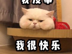 -漫咖啡(红唐店)
