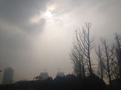 -百林公园-两江幸福广场