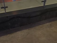 -移动谜城·大笨象密室逃脱(五棵松店)