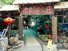 -桃姐农庄老字号(从化温泉店)