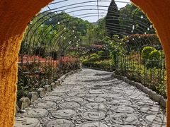 -栾川竹海野生动物园
