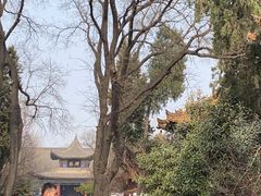 -西安碑林博物馆