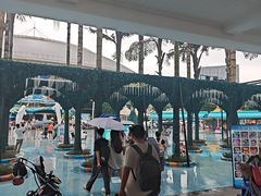 -海合安成都极地海洋公园