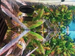 -大头椰·椰子鸡火锅(南宁万象城店)