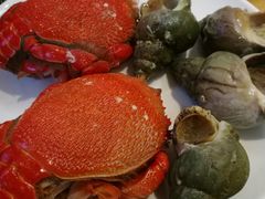 -威珀斯酒店·珀萃美食餐厅 | 海鲜刺身·现烤生蚝·特色烤肉