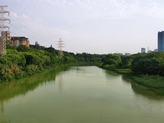 -广东花都湖国家湿地公园