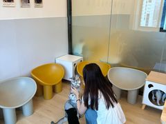 -有喵·猫咖·狗咖·30几只猫10只小狗(岗厦店)