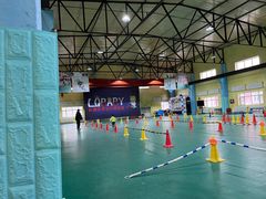 -长春乐奇平衡车儿童体能运动中心