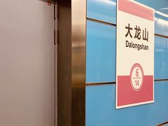 -大龙山(地铁站)