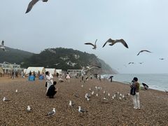 -棒棰岛宾馆景区