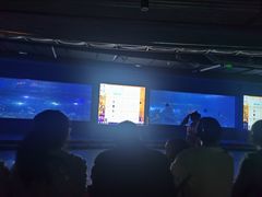 -重庆欢乐海底世界