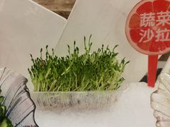 -芭菲盛宴·环球美食(锦城万达广场店)