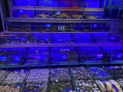 -青蓬蒸汽海鲜·深圳老字号·团建聚会(壹方城店)
