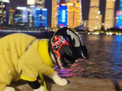 -上海港国际客运中心