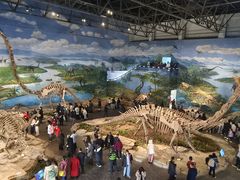 -自贡恐龙博物馆