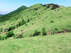 -大姆山草场