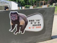 -合肥野生动物园