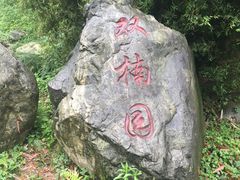 -都江堰中华大熊猫苑