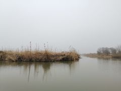 -长兴太湖图影湿地文化园