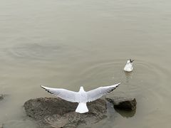 -深圳湾公园(南山区)
