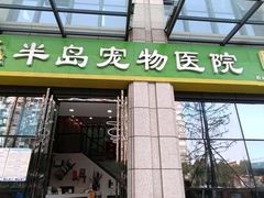 -半岛宠物医院24小时·内窥镜·牙科·碎石中心(府城大道店)