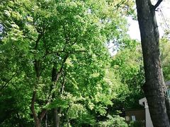 -WeLope紫金山探险公园