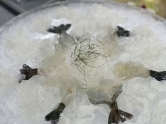 -明本海鲜大排档·鱼生海鲜烧烤宵夜(陈家祠店)