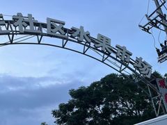 -林旺社区水果市场