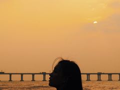 -宝安西湾红树林湿地公园